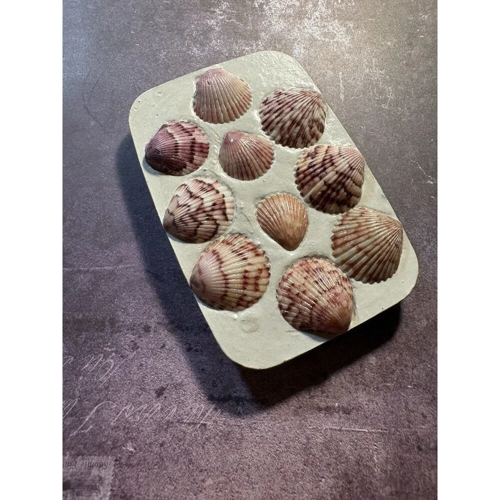 Handmade Soap Dish Cement Soap Holder Bathroom Kitchen Pink Sea Shells